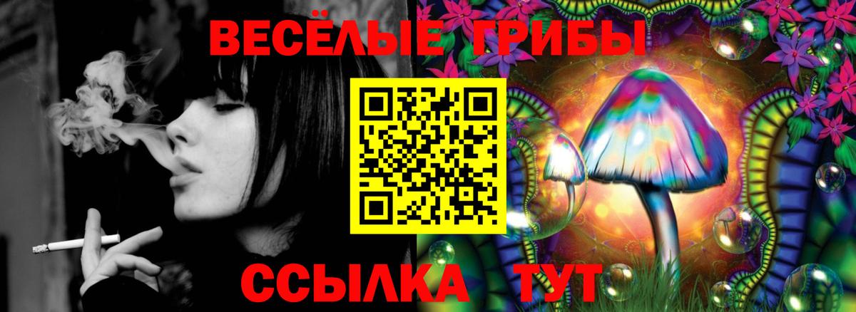 Галлюциногенные грибы ЛСД Заринск